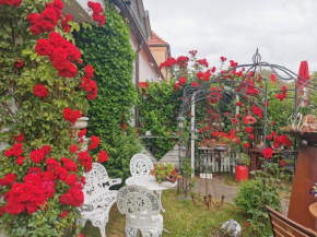 cafesahne u Pension, Dranske